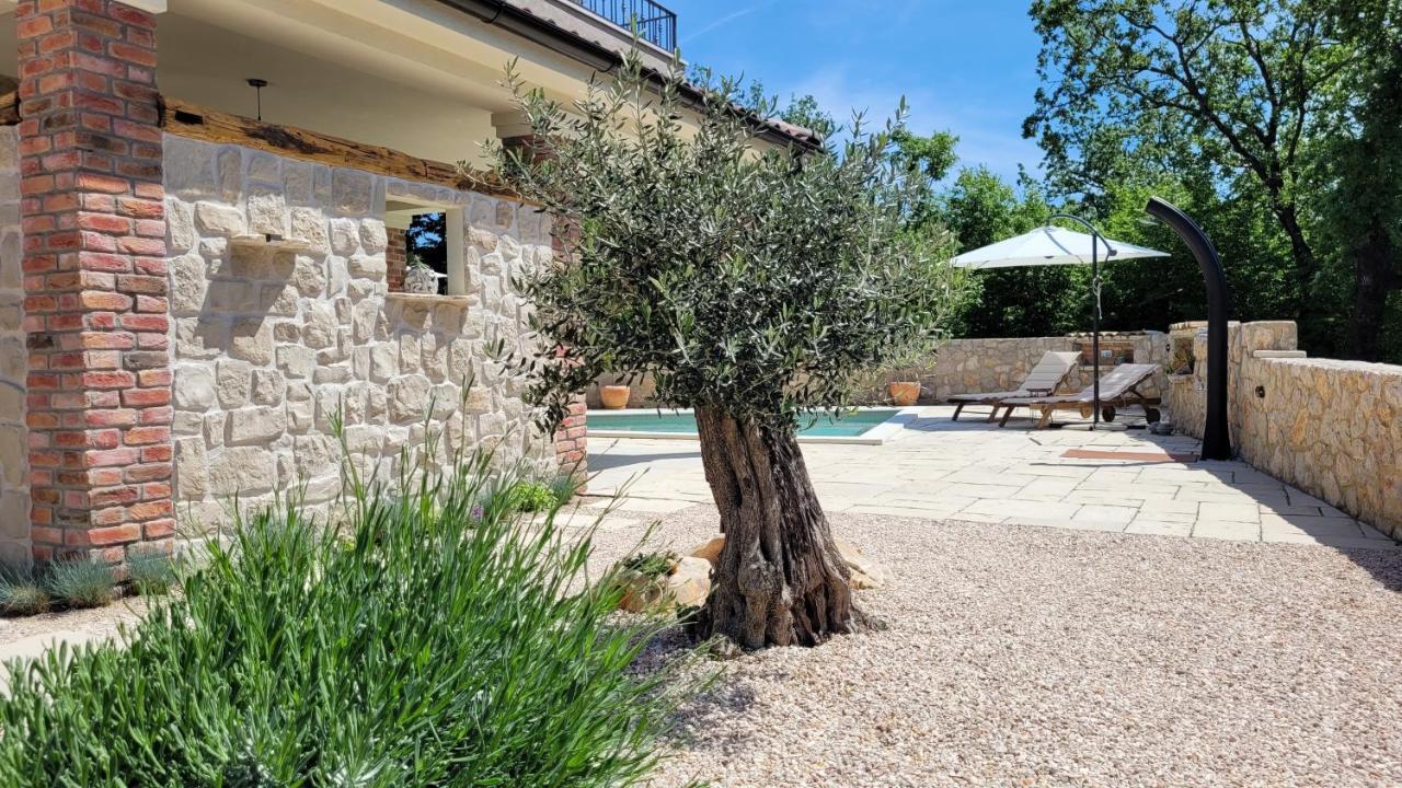 Villa Alara - Charming Villa With Heated Swimming Pool Milohnici Extérieur photo